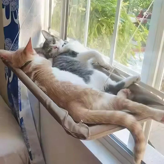 Hamac Luxe de Fenêtre pour Chat - Ventouses Résistantes